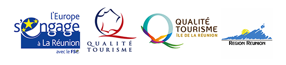 logo-terre_sainte